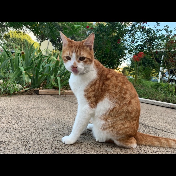 Meet your Posher, Brenda - Picture 2 of 3